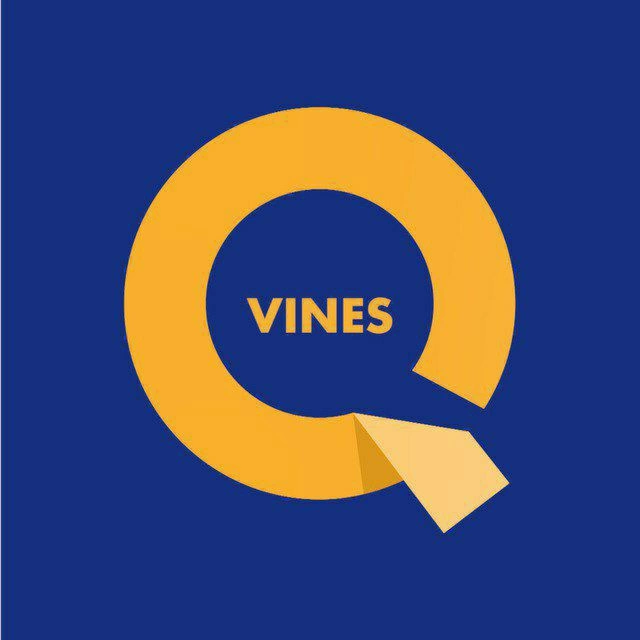 @qizuvines